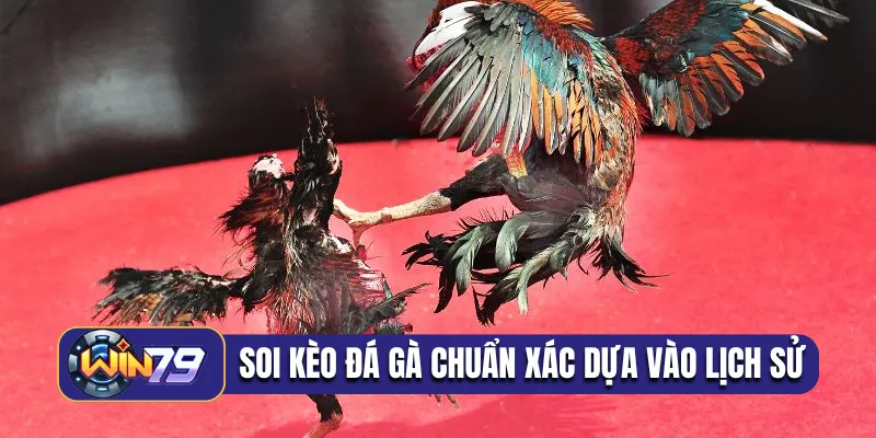 Soi kèo đá gà chuẩn xác dựa vào lịch sử