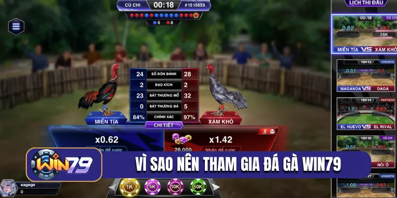 Vì sao nên tham gia đá gà Win79